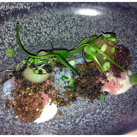 فندق Aars Hotel 3*